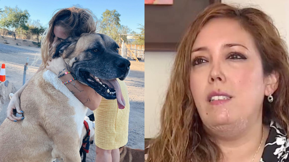 Daniela Castro y el accidente con su perro: “Me haré cargo por dos años”