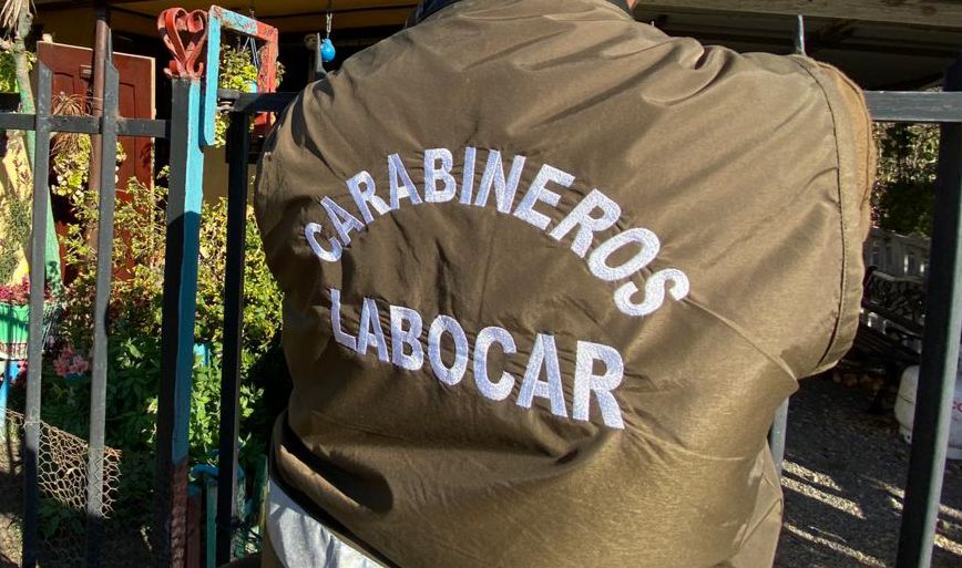 Mujer murió tras ser atacada por cinco perros en Valparaíso: El dueño fue detenido