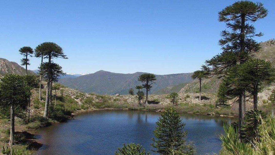CAM anunció “recuperación” de Reserva que estuvo tomada en octubre por grupo armado