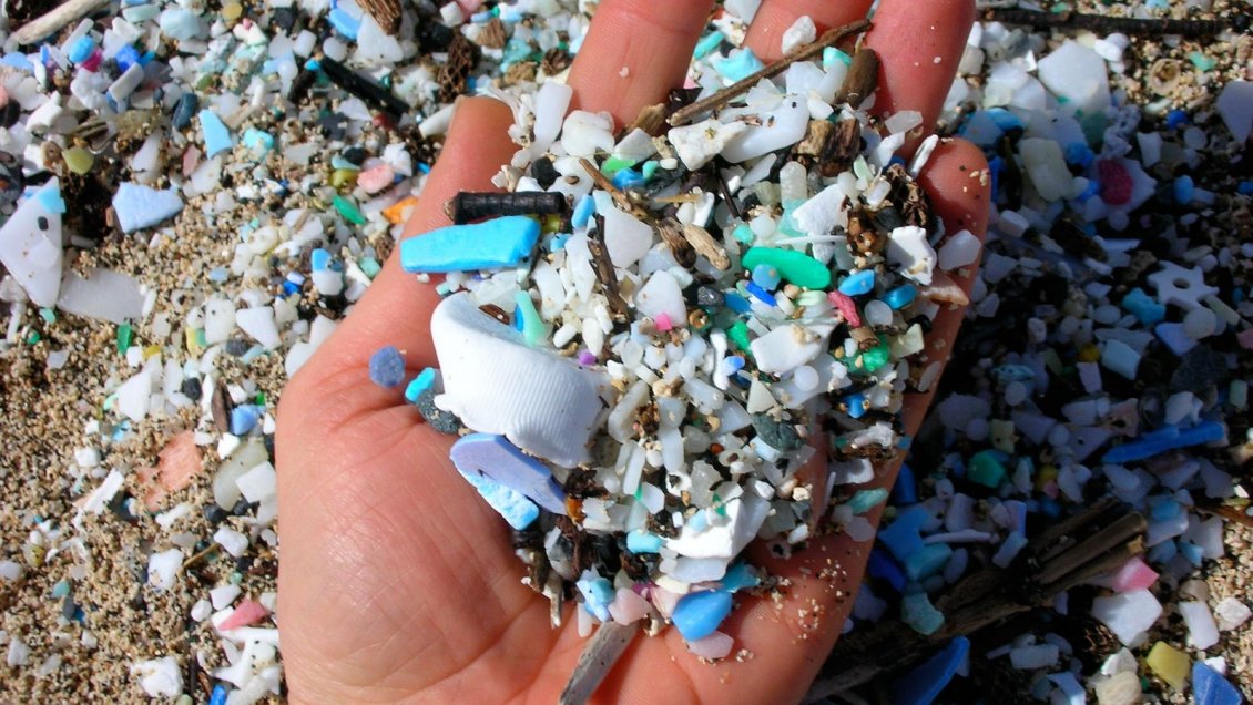 Aguas interiores de Chiloé están contaminadas con microplásticos, según reveló un estudio
