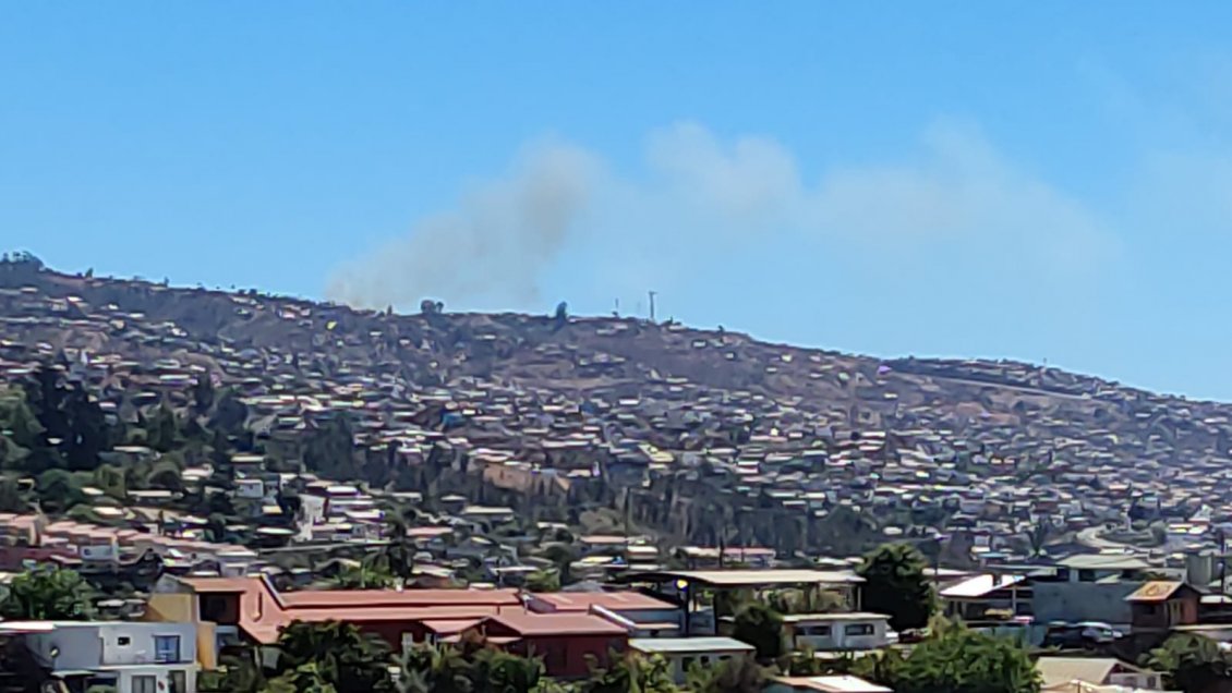 Alerta roja por incendio forestal que amenaza a viviendas en Valparaíso