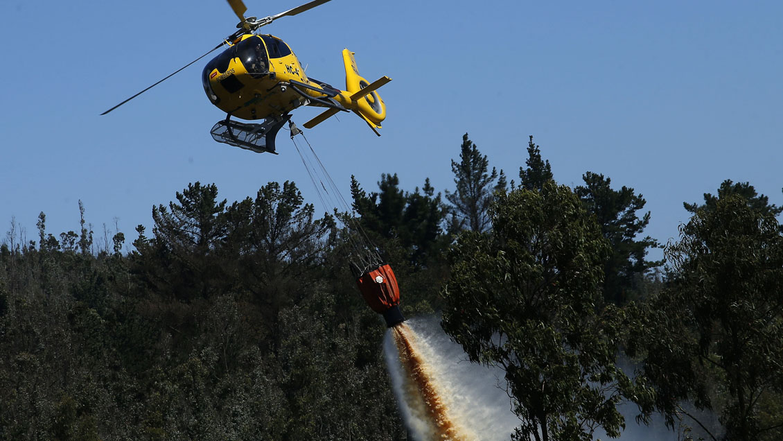 Nueva alerta roja en Valparaíso por otro incendio forestal en sector de Laguna Verde