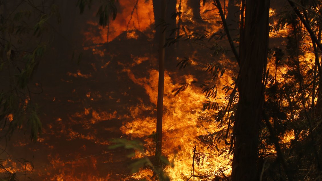 Gerente de CGE quedó bajo arresto domiciliario por incendio que destruyó 10 mil hectáreas en 2017
