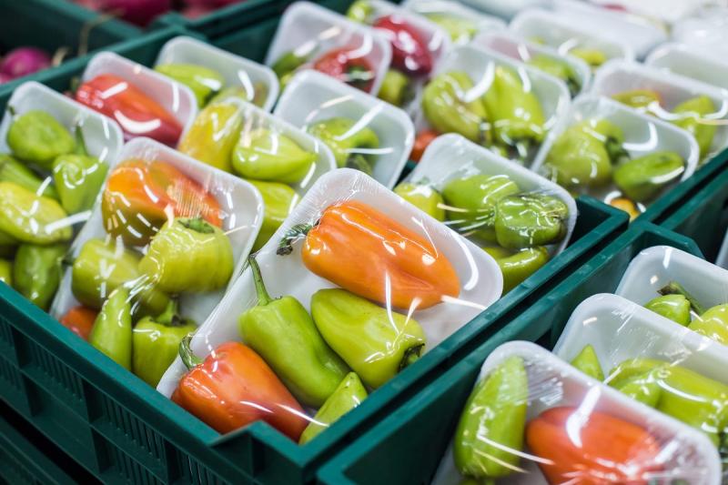 Nano-habilitado Envases para Alimentos y Bebidas Tendencias del mercado, desafíos y oportunidades en la industria manufacturera 2030