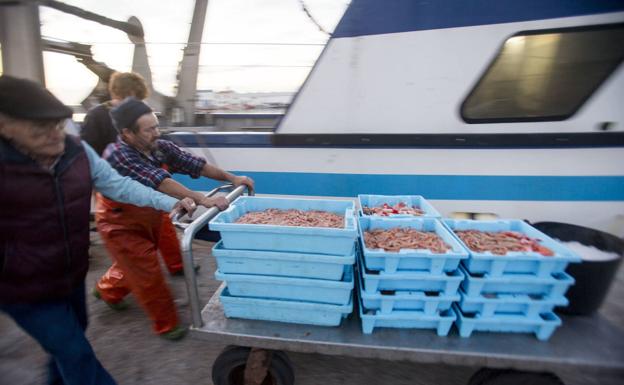 La flota de Motril, indignada con los nuevos recortes de Europa que le dejarán con 158 días de pesca