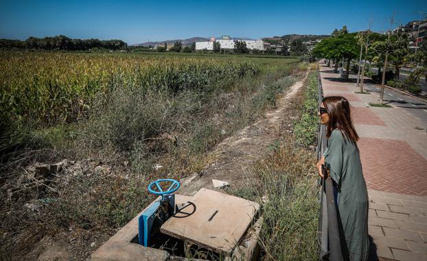 Terrenos de vega desde la avenida Norman Bethune de Motril destinados al futuro parque de la caña. /RAMÓN L. PÉREZ