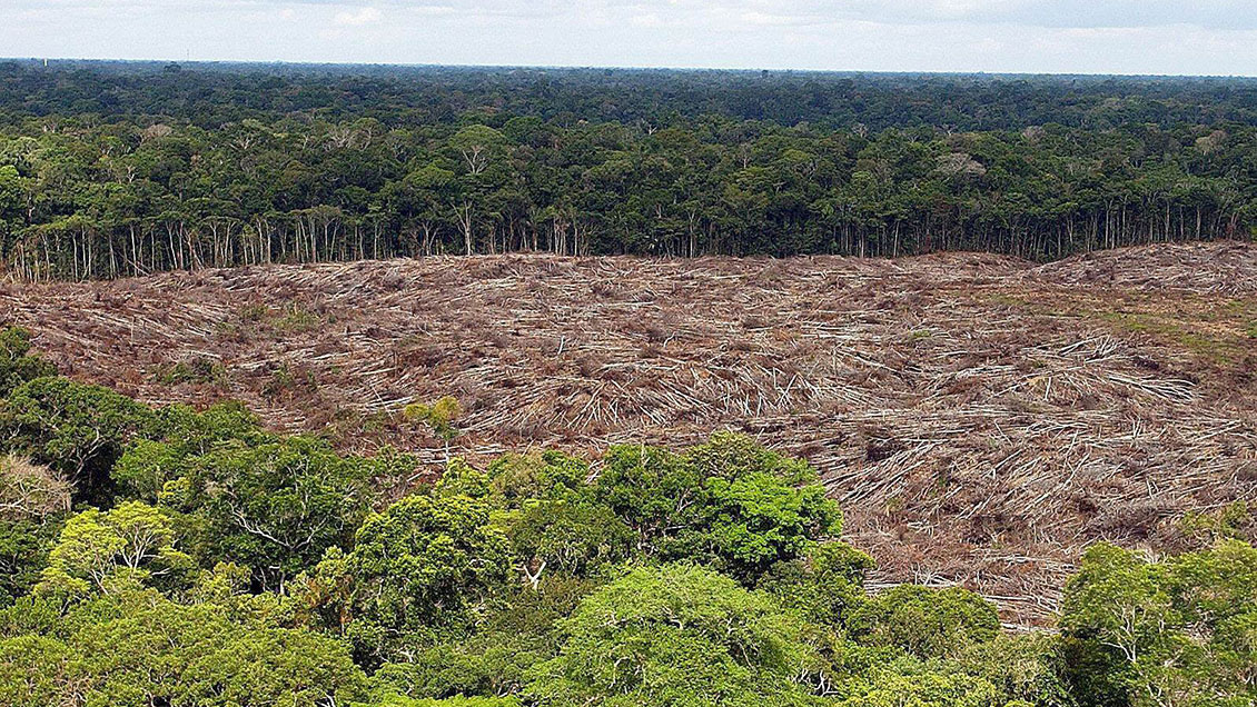 Deforestación de la Amazonía baja por primera vez en el gobierno de Bolsonaro