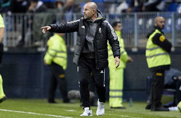 Paco López, durante el derbi en La Rosaleda. /FERMÍN RODRÍGUEZ