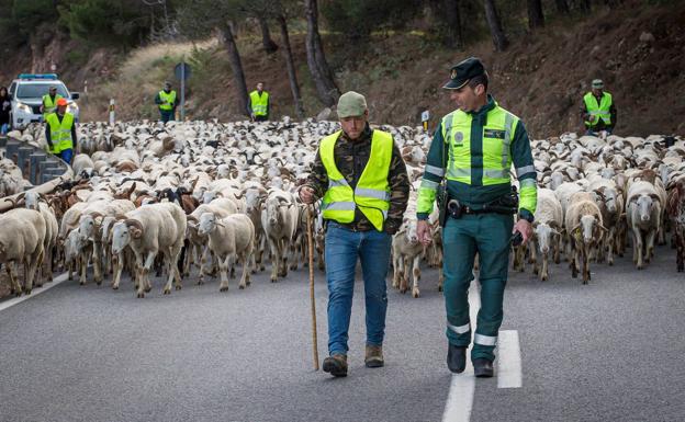 El último pastor trashumante de La Alpujarra./PEPE MARÍN