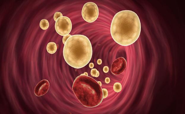 El alimento clave para reducir el colesterol en sangre./IDEAL