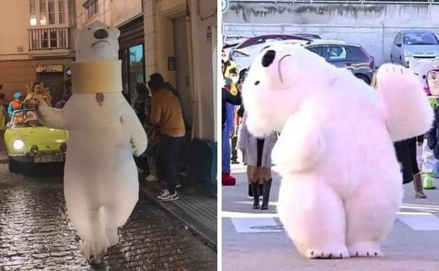 El oso perjudicado ha experimentado una notable mejoría gracias al collarín cervical. /R. C.