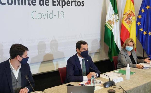 Imagen de archivo de uno de los comités de expertos celebrados durante la pandemia./IDEAL