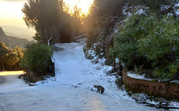 Nevada en Peña Escrita, la parte alta de Almuñécar/ideal