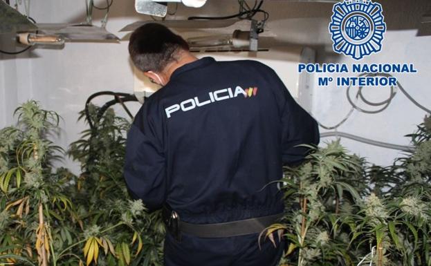 Acuden a extinguir un incendio en una vivienda de Granada y descubren gran cantidad de marihuana