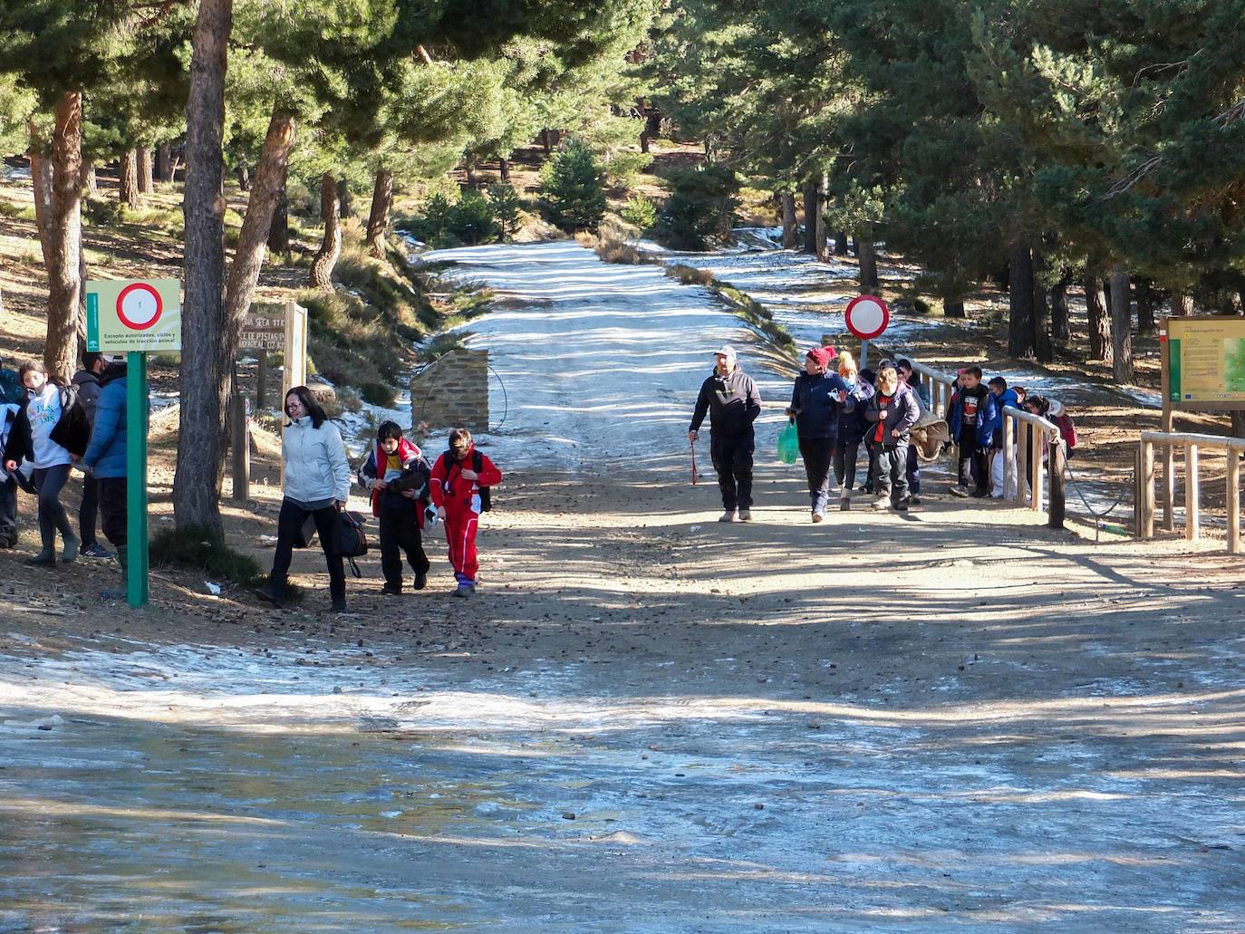 Un grupo de escolares, ayer en el Puerto de la Ragua. /torcuato fandila