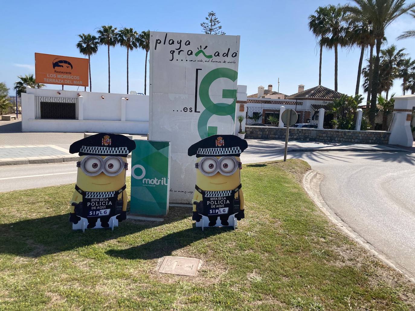 Imagen secundaria 1 - Minions colocados por Motril.